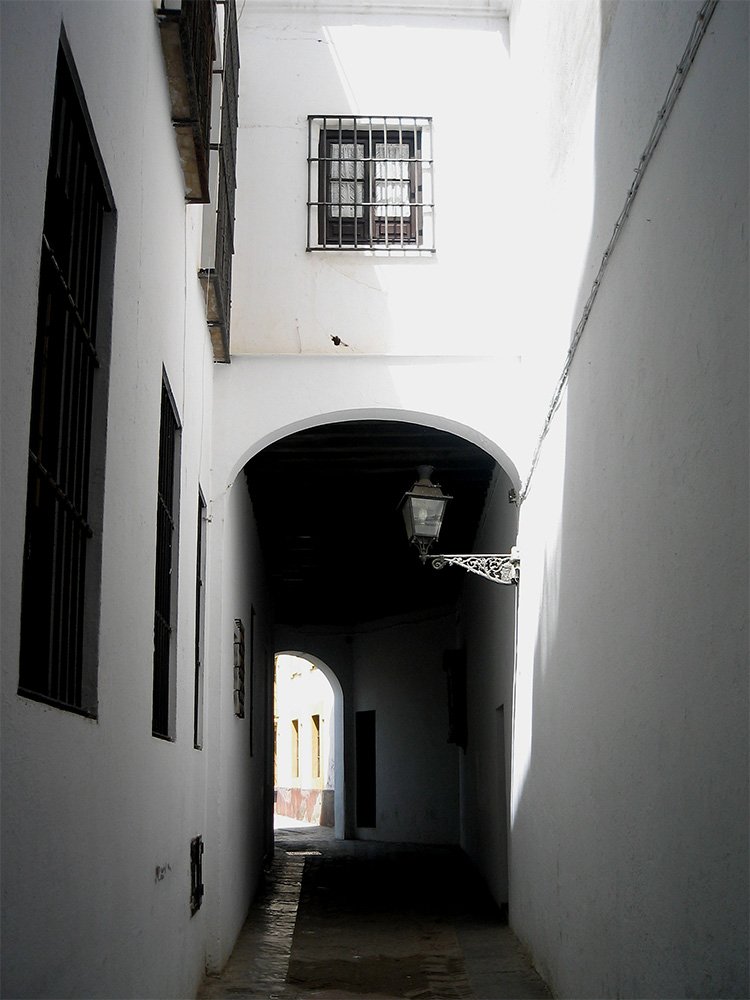 A street in the Santa Cruz neighbourhood, Seville