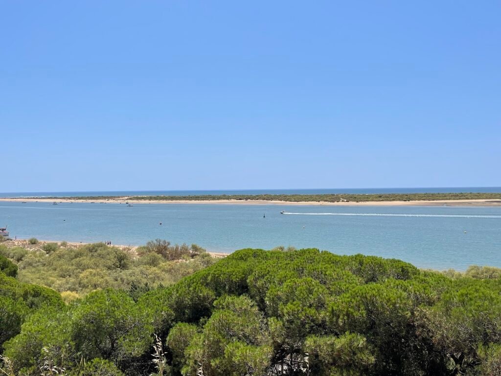 Laguna de El Portil