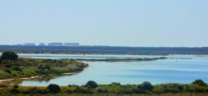 Marismas del Odiel wetland landscape