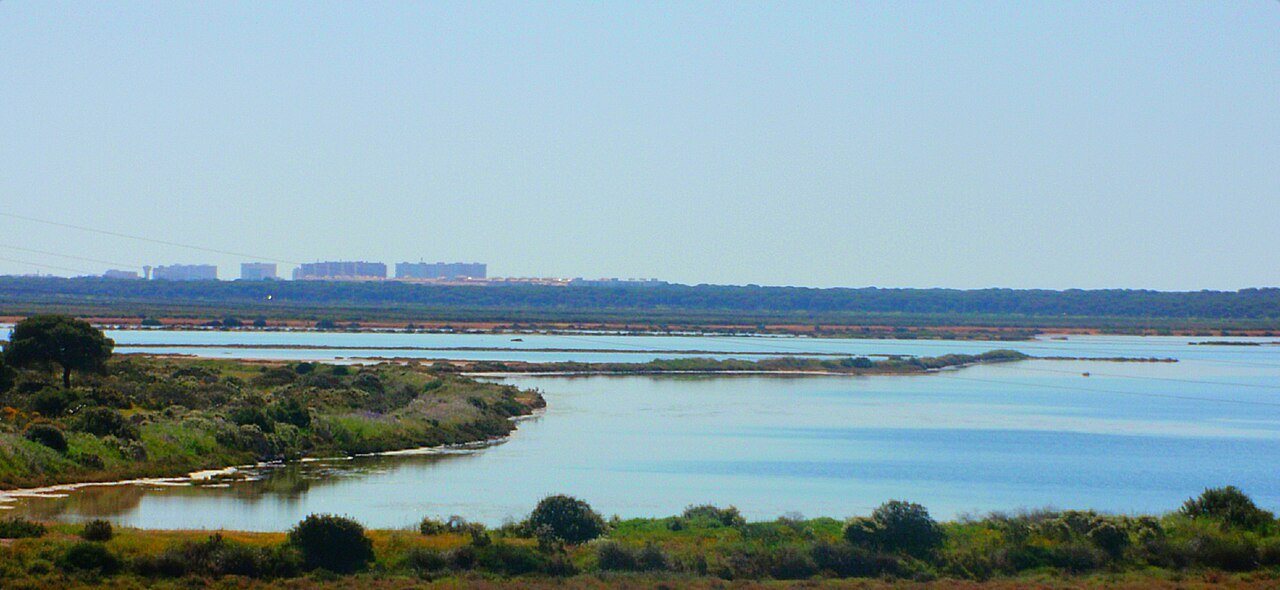 Marismas del Odiel wetland landscape