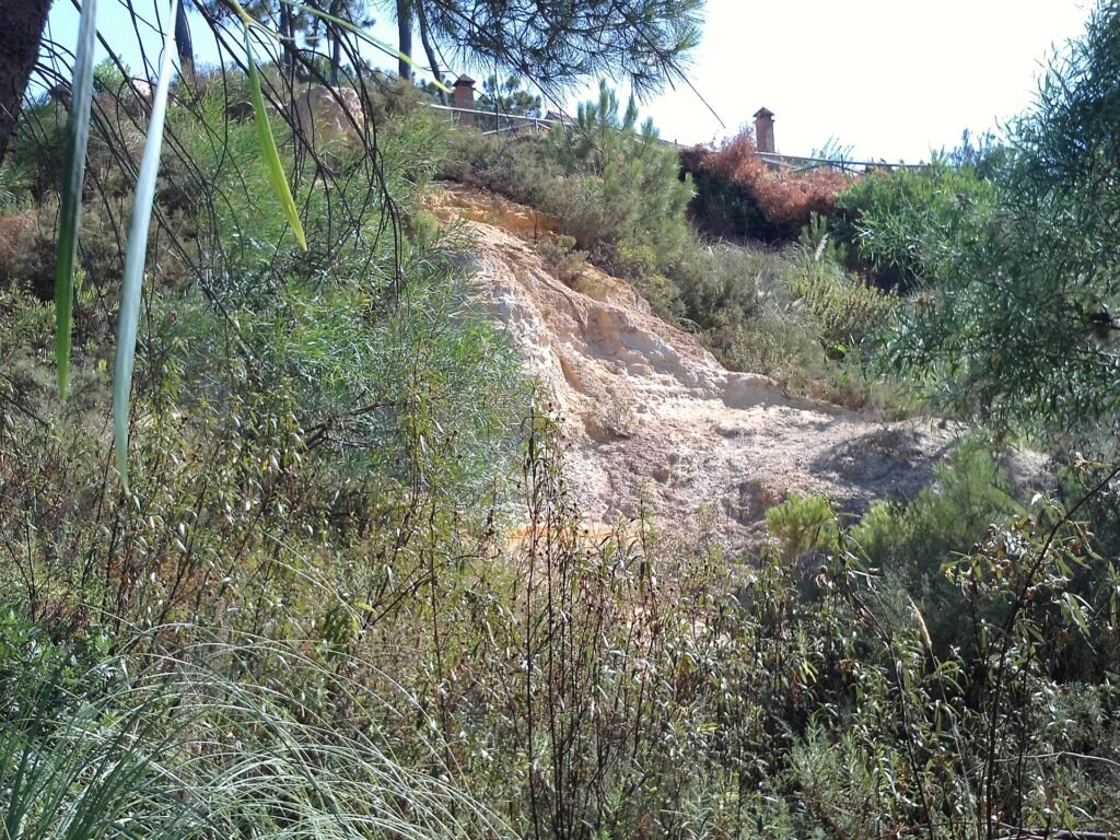 Path at Parque de los Cabezos, Islantilla