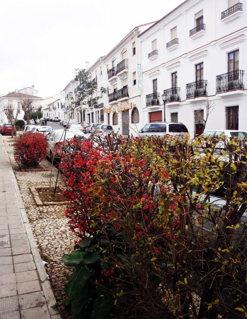 Avenida de Huelva, Aracena