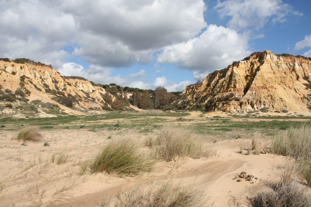 Cliffs and dunes near Mazagón