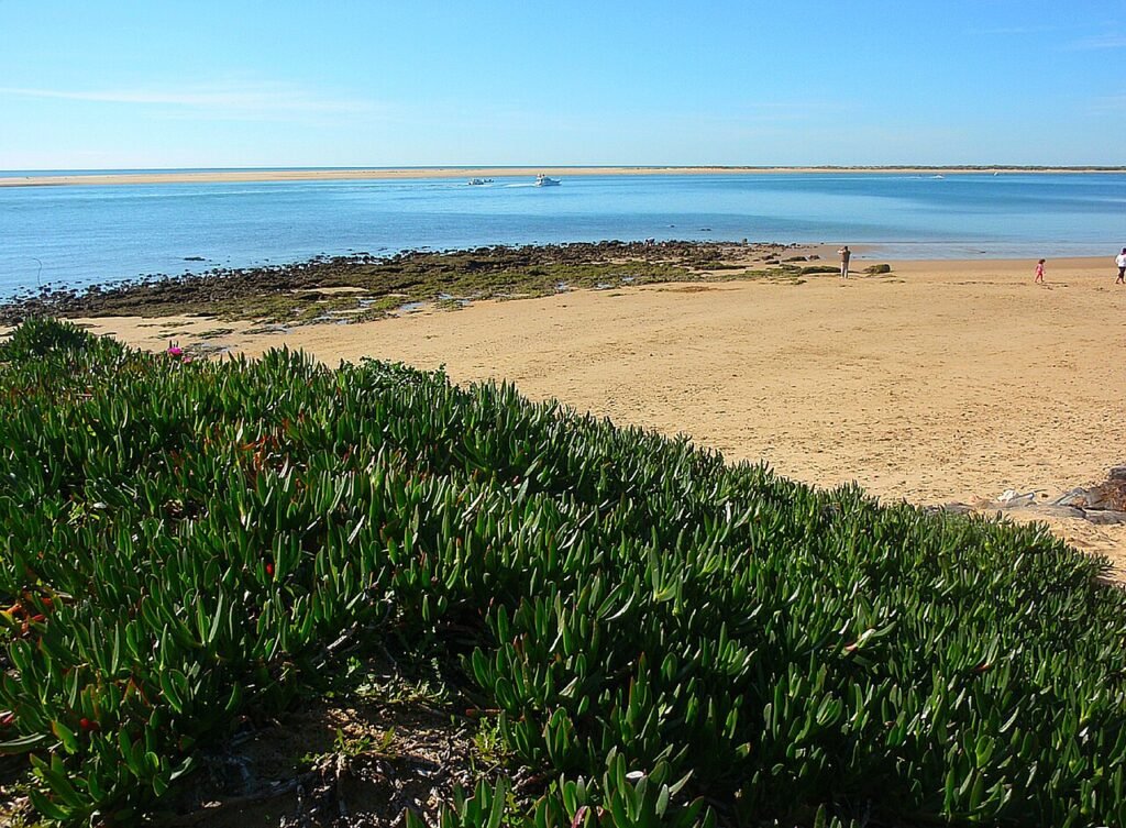View along the shore at El Portil