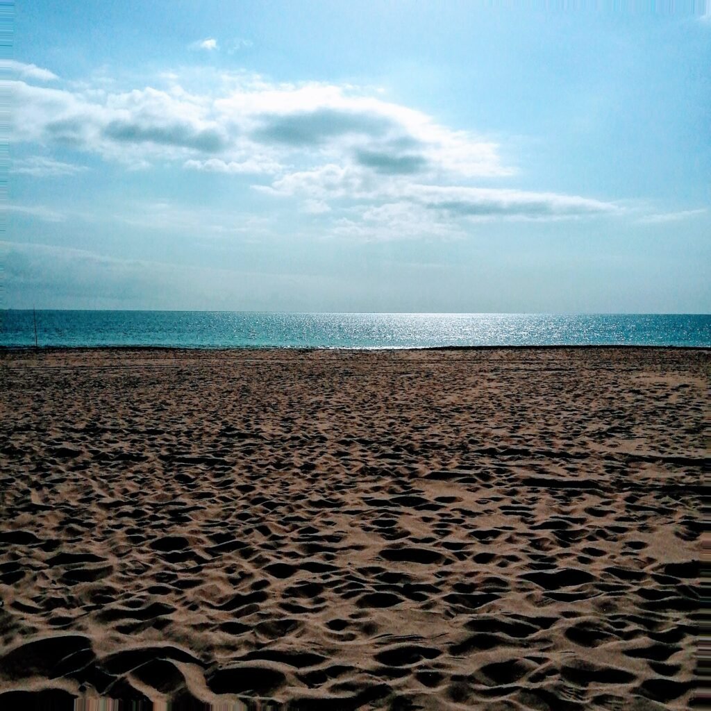 Matalascañas: a resort beach on the edge of Doñana