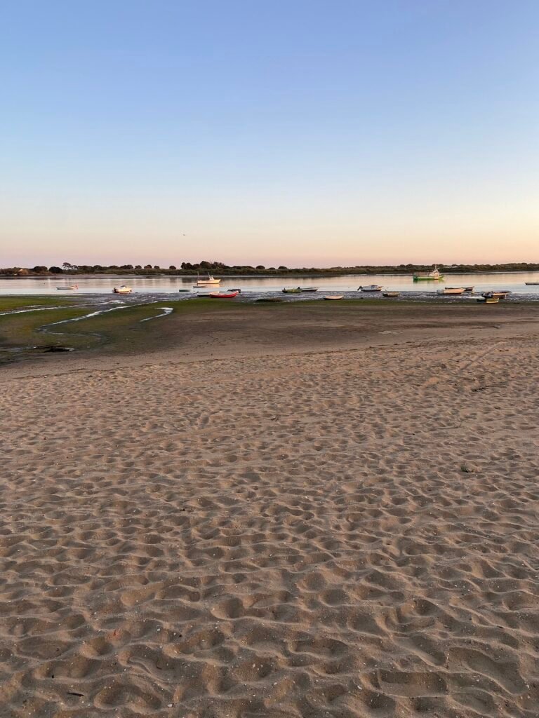 El Rompido and Flecha del Rompido: scenery and river-mouth landscapes
