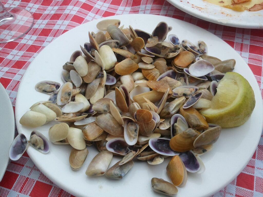 A dish of coquina clams