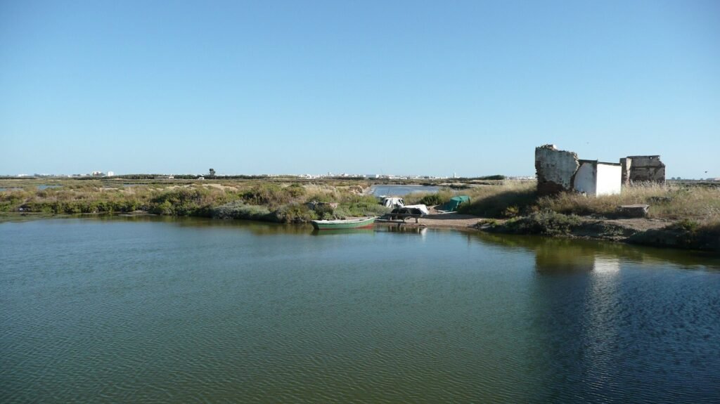 Saltmarsh landscape in Isla Cristina