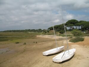 Tidal landscape near El Rompido