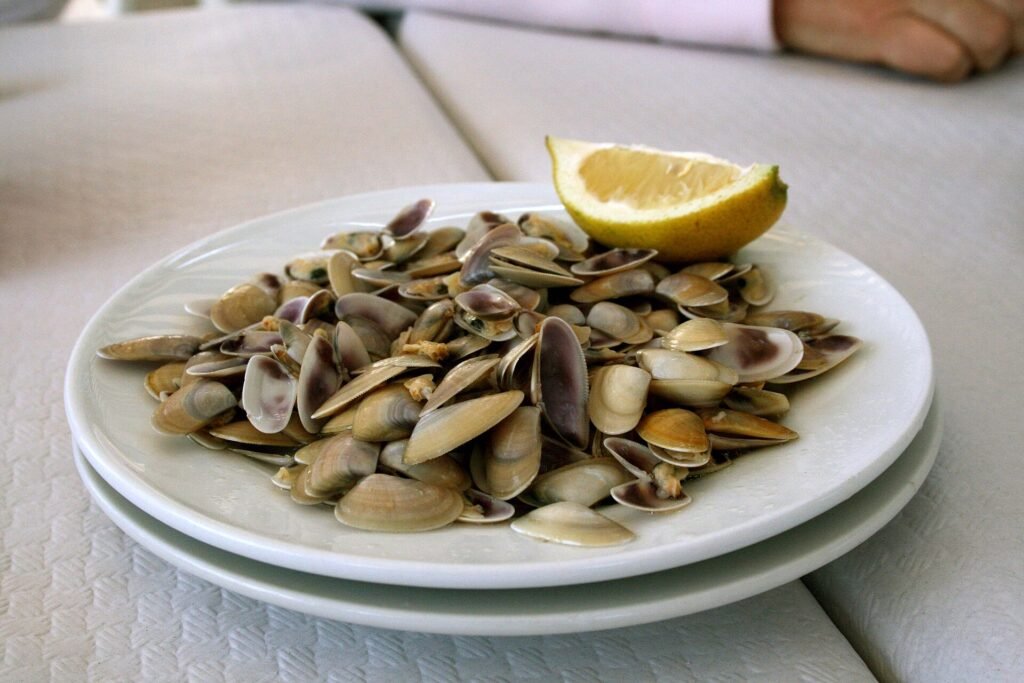 A serving of coquina clams