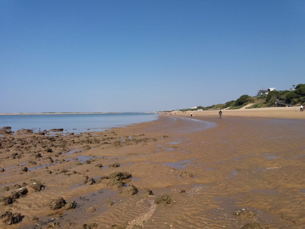 El Portil: beach days beside dunes and wetlands